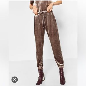Zara velour joggers
